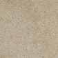 Organic Ceramic Sconce - Light Sand Porcelain Ceramic