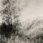 Landscape Study I by Aileen Fitzgerald - Rustic Walnut
