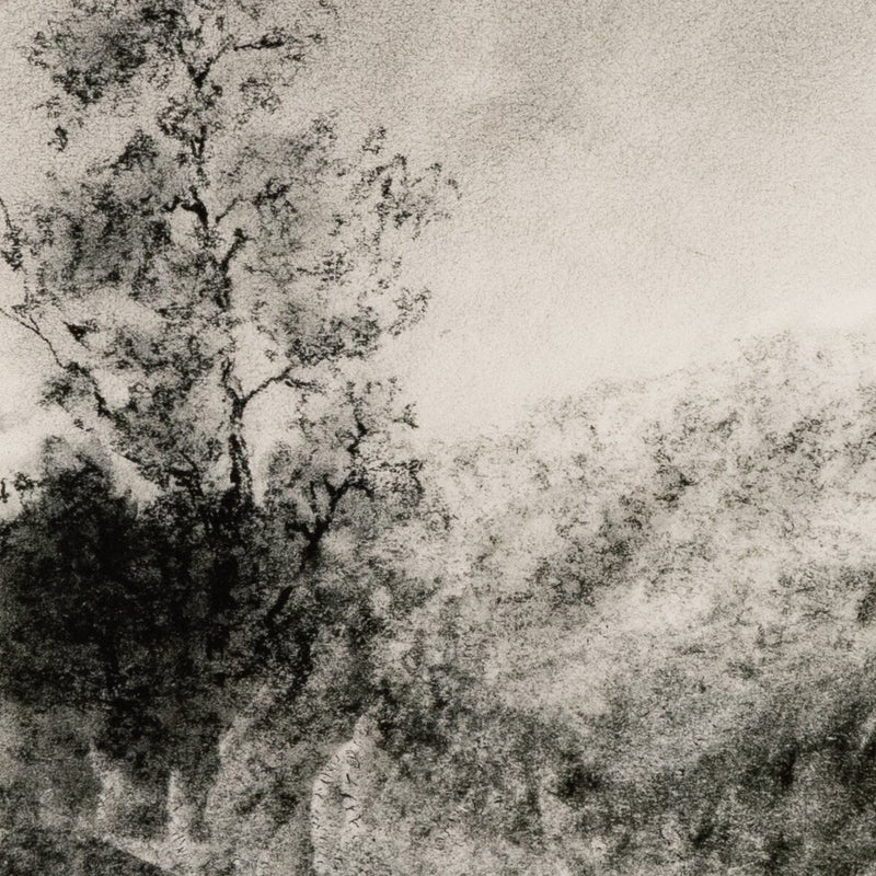 Landscape Study I by Aileen Fitzgerald - Rustic Walnut