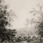 Landscape Study II by Aileen Fitzgerald - Rustic Walnut