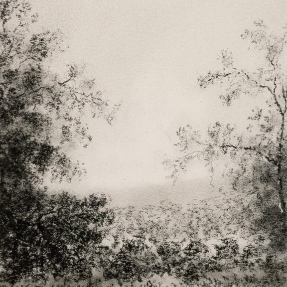 Landscape Study II by Aileen Fitzgerald - Rustic Walnut