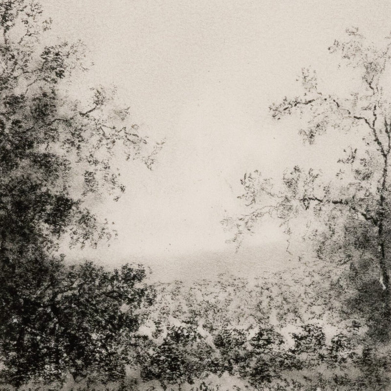 Landscape Study II by Aileen Fitzgerald - Rustic Walnut