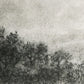 Hill Country Study I by Aileen Fitzgerald - Rustic Walnut