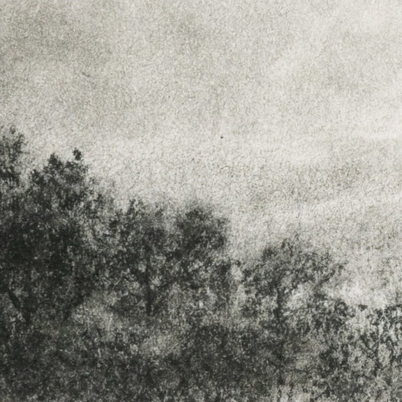 Hill Country Study I by Aileen Fitzgerald - Rustic Walnut