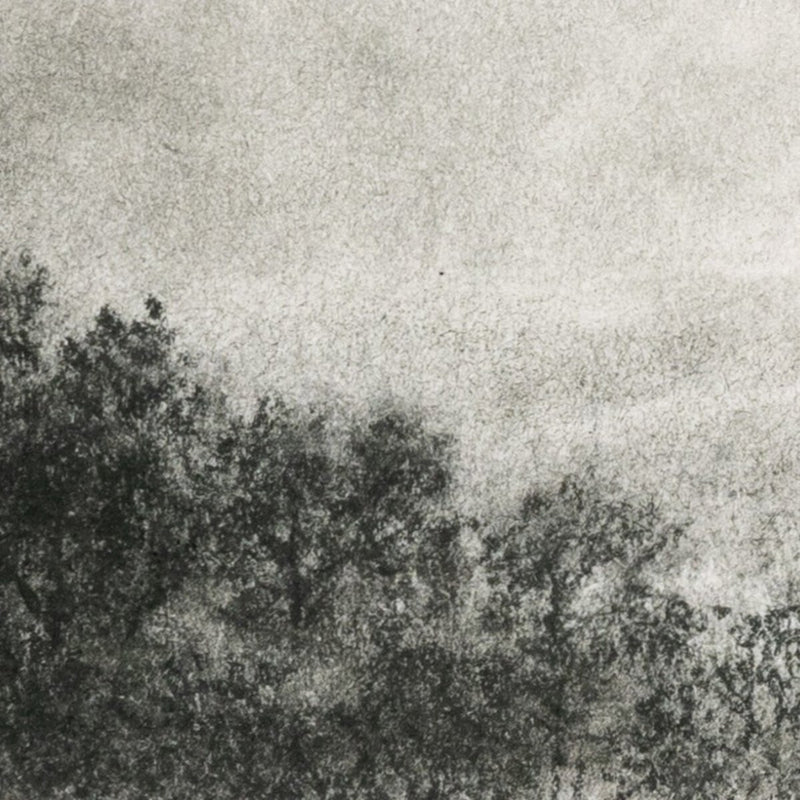 Hill Country Study I by Aileen Fitzgerald - Rustic Walnut