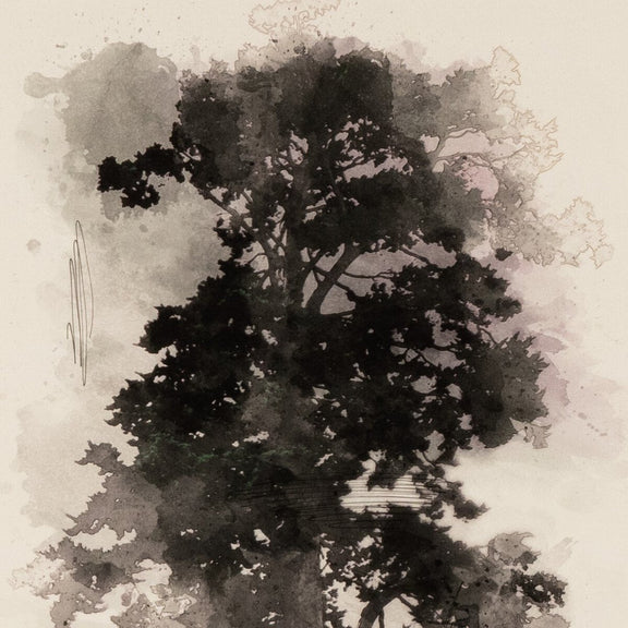 Tree Sketch I by Coup d'Esprit - White Oak
