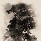 Tree Sketch I by Coup d'Esprit - White Oak