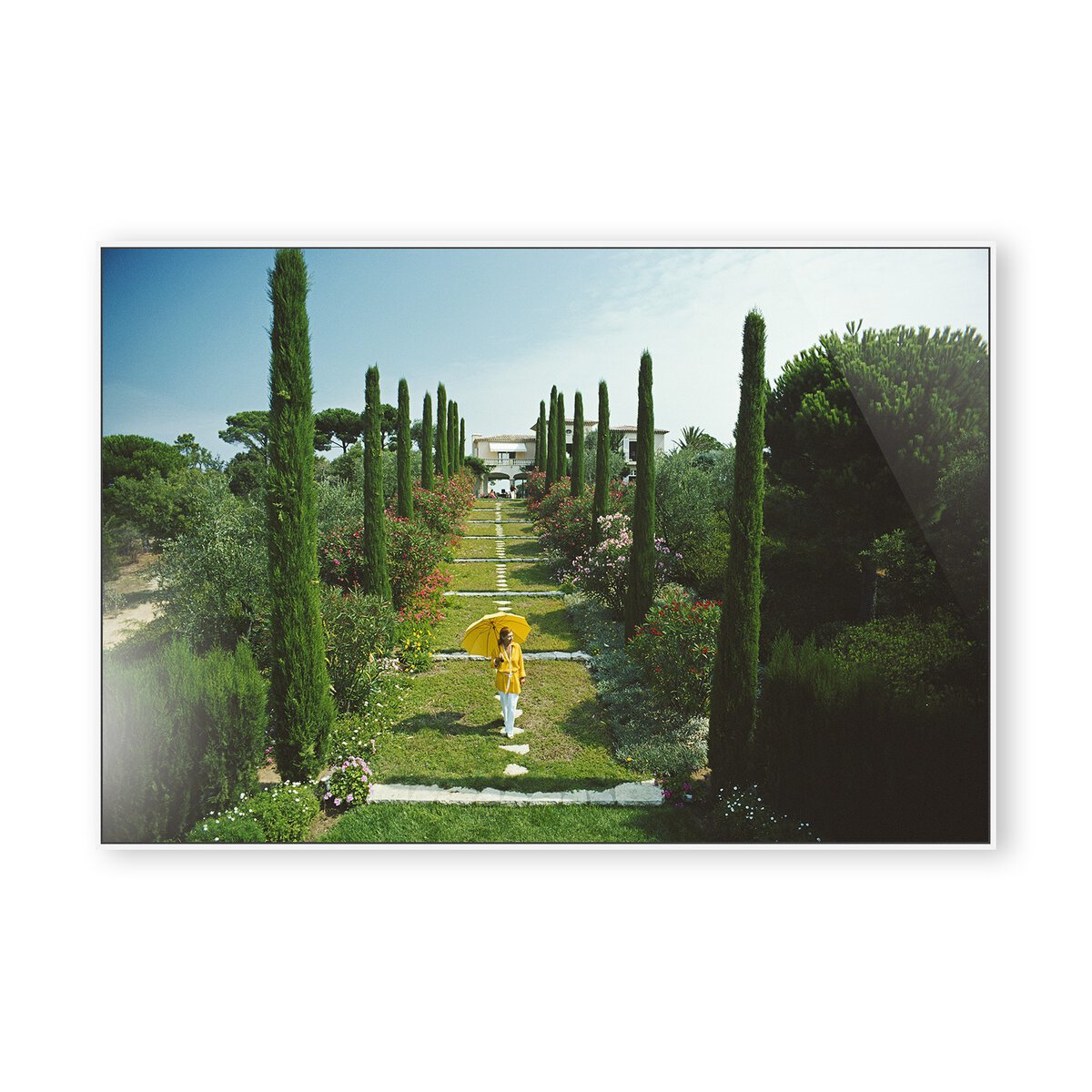 Les Sophores by Slim Aarons - White Maple Floater