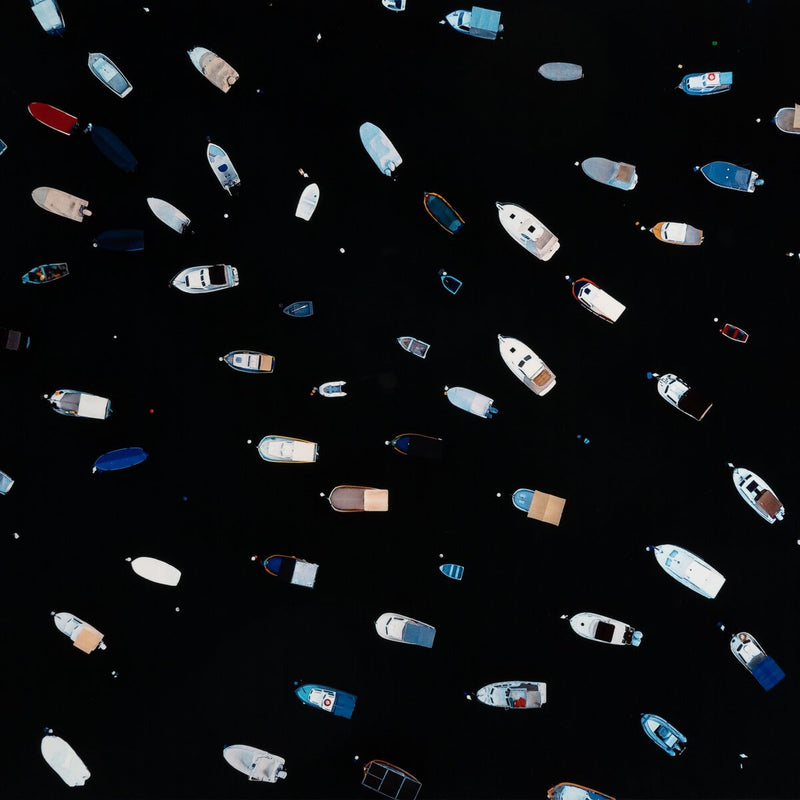 Gridlocked by Getty Images - Black Maple Floater