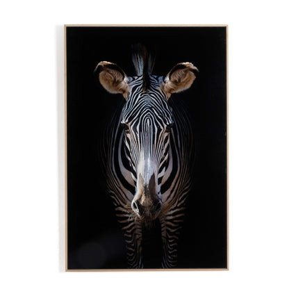 Zebra Stare by Getty Images - White Oak Floater