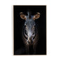 Zebra Stare by Getty Images - White Oak Floater