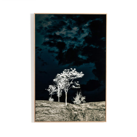 There's A Lack Of Color Here by Getty Images - White Oak Floater