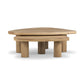 Zion Nesting Table Set