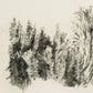 Tree Sketch by Dan Hobday - Rustic Walnut