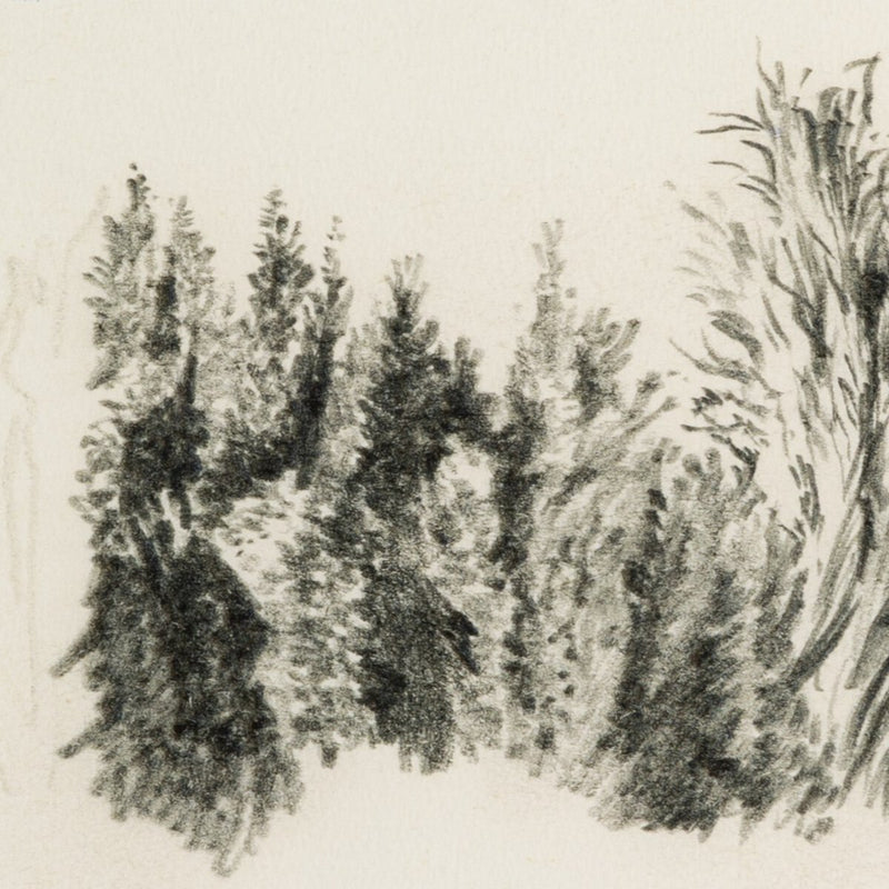 Tree Sketch by Dan Hobday - Rustic Walnut