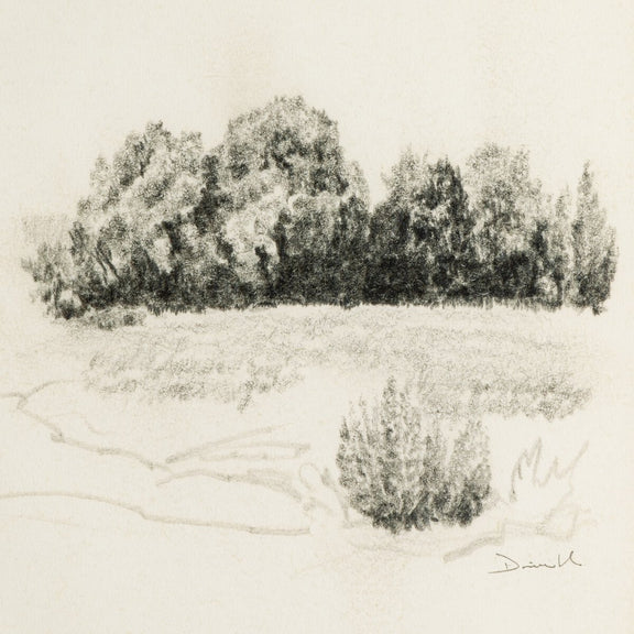 Land Sketch 1 by Dan Hobday - Rustic Walnut