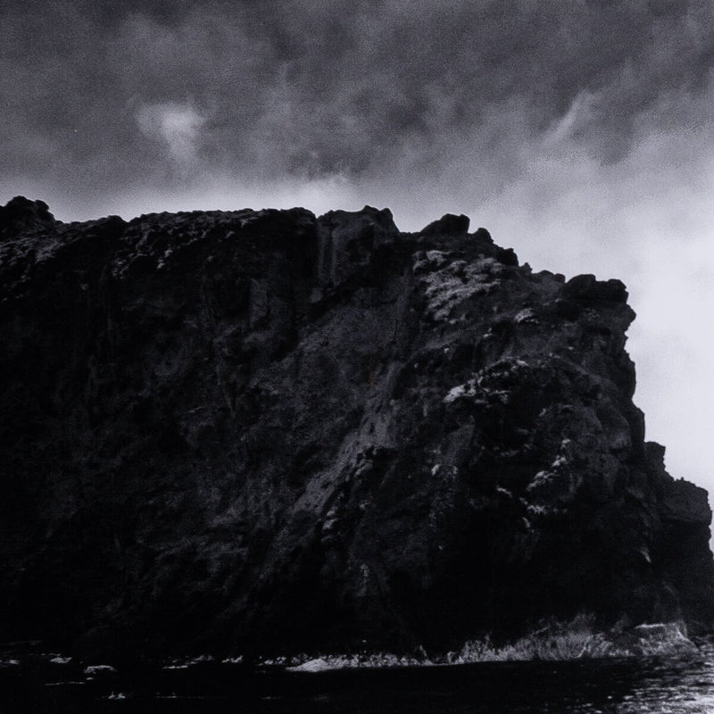 Big Sur by Gold Rush Art Co. - Black Maple