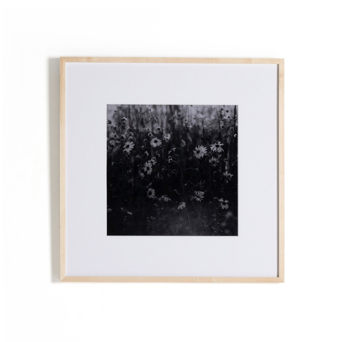 Floral Film II by Annie Spratt - Natural Maple