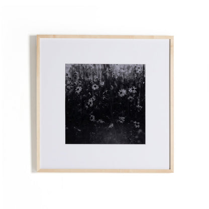 Floral Film II by Annie Spratt - Natural Maple