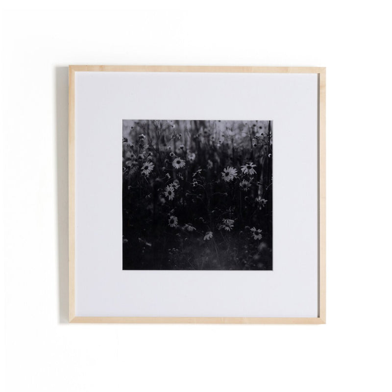 Floral Film II by Annie Spratt - Natural Maple