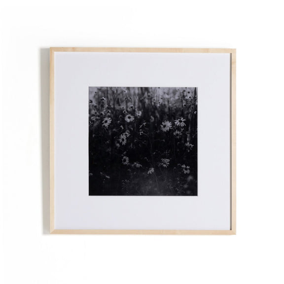 Floral Film II by Annie Spratt - Natural Maple