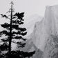 Half Dome From Glacier Point by Getty Images - Black Maple Floater
