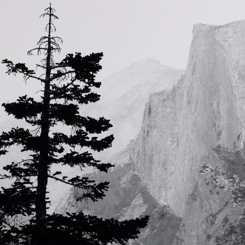 Half Dome From Glacier Point by Getty Images - Black Maple Floater
