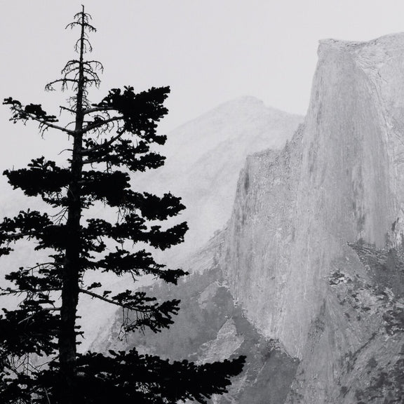 Half Dome From Glacier Point by Getty Images - Black Maple Floater