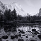 El Capitan by Getty Images - Black Maple