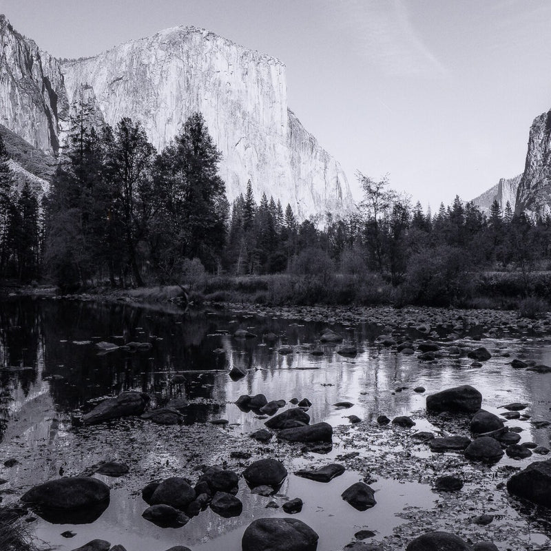 El Capitan by Getty Images - Black Maple