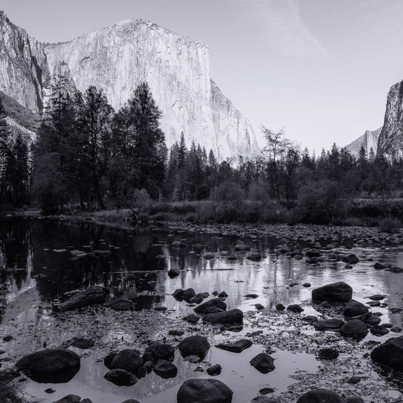El Capitan by Getty Images - Black Maple