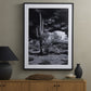 Sonoran Desert by Getty Images - Black Maple