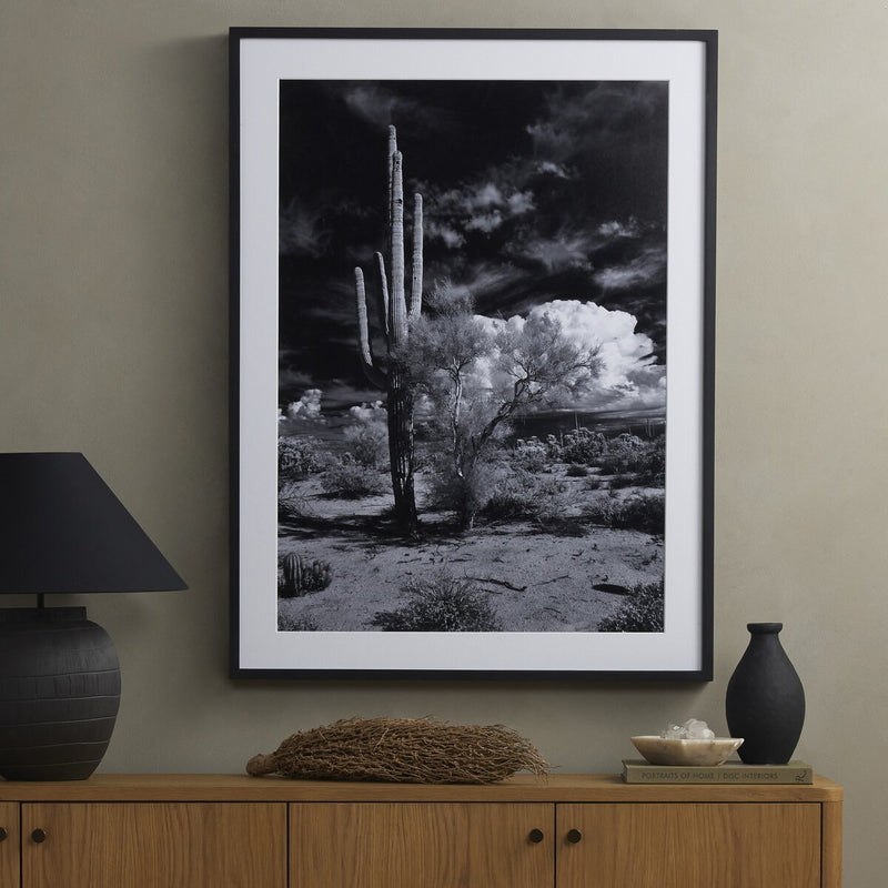 Sonoran Desert by Getty Images - Black Maple