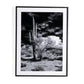 Sonoran Desert by Getty Images - Black Maple