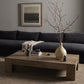 Abaso Rectangular Coffee Table