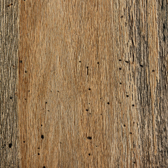 Close-up of rustic oak veneer with wormwood-like finish, showcasing textured grain and small holes, used in Abaso Accent Bench construction