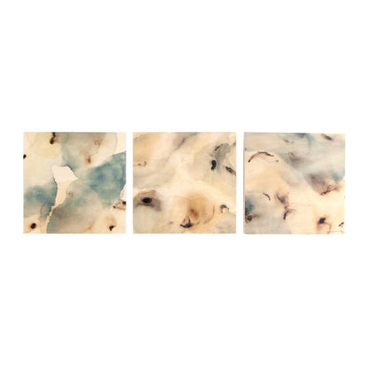 Nostalgia Underneath Triptych by Molly Franken - Maple Box