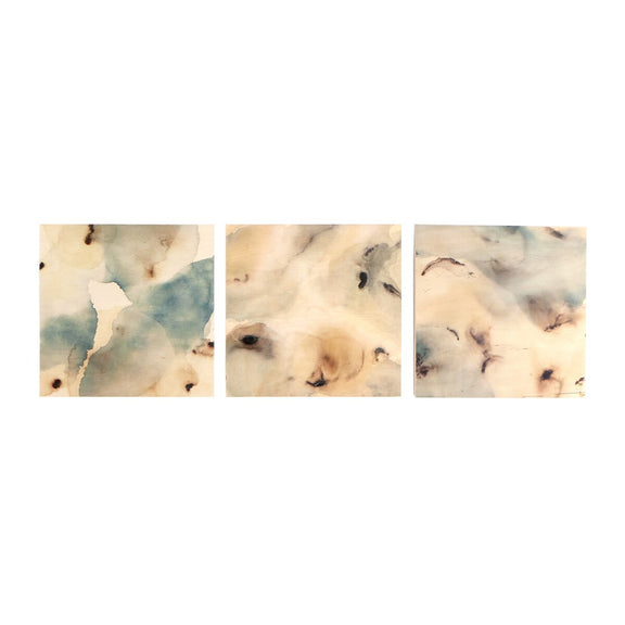 Nostalgia Underneath Triptych by Molly Franken - Maple Box