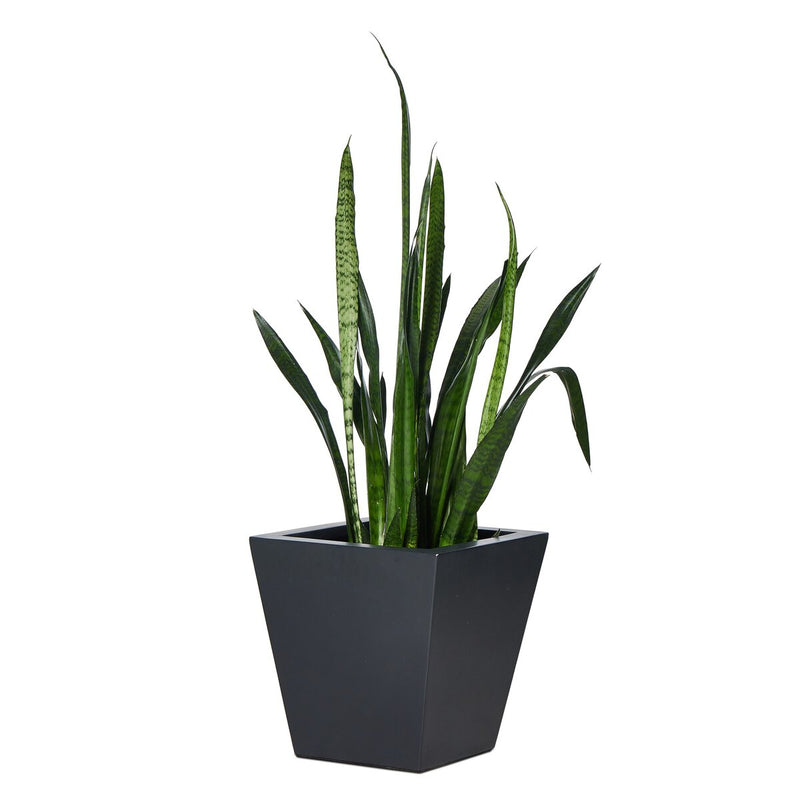 Koto Planter - Black Concrete
