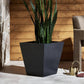 Koto Planter - Black Concrete