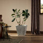 Koto Planter - Textured White Concrete