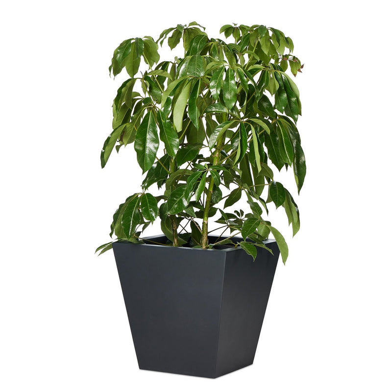 Koto Planter - Black Concrete
