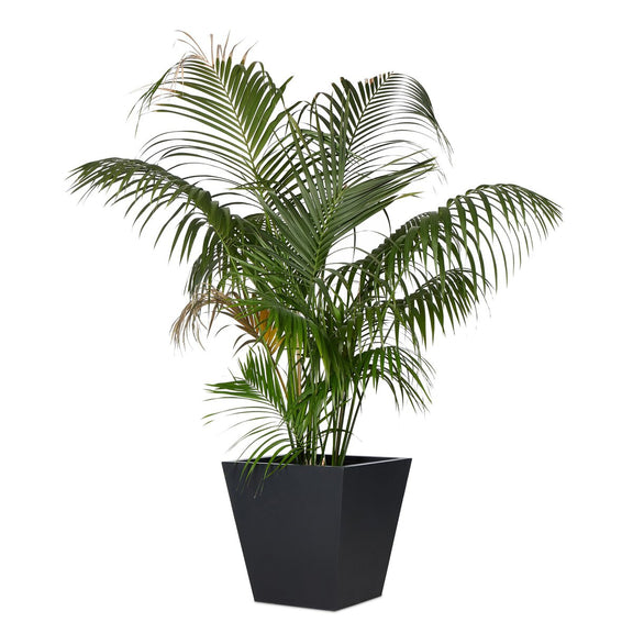 Koto Planter - Black Concrete