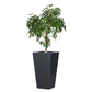 Koto Planter - Black Concrete