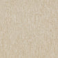 Amur Outdoor Dining Chair - Ellor Beige