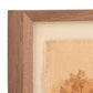 Daughters Of The Water IX by Aileen Fitzgerald - Rustic Walnut
