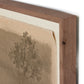 Daughters Of The Water VI by Aileen Fitzgerald - Rustic Walnut