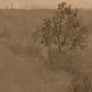 Daughters Of The Water VI by Aileen Fitzgerald - Rustic Walnut