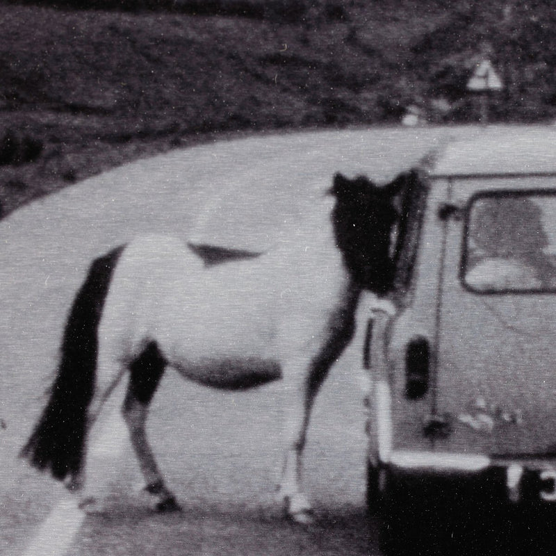 On The Road III by Annie Spratt - Black Maple Floater