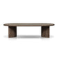 Paden Outdoor Coffee Table - Stained Toasted Brown-fsc